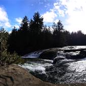 Puntledge River (Nymph Falls Park)