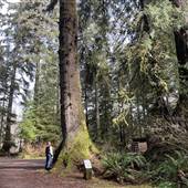 Quaste Regional RV Park and Campground