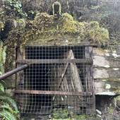 Zeballos Gold Mine Site