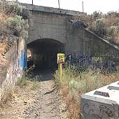 Savona Tunnel under Train Tracks