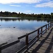 Swan Lake Sanctuary Nature Trail