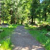 Coombs Log House Trails