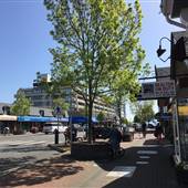 STREET - Sidney Streets