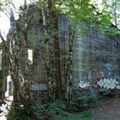 Old Sawmill Site Ruins