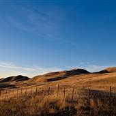BENNETT RANCH LANDSCAPE