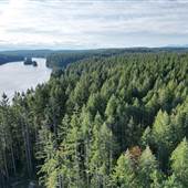 John Hart Lake Forest & Trails