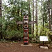 Helliwell Provincial Park - Forest Trail