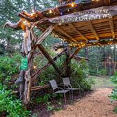 Kitty Coleman Woodlands - Christmas Displays