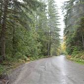 Nahmi Forest Service Road & Alberni Motorsports Park