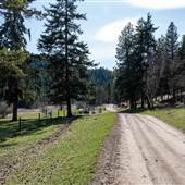 Field of Dreams Wedding Venue - Landscapes and Acreage