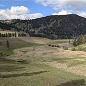 ROCK RIDGE CANYON FEILDS/FOREST