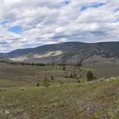*Skeetchestn Desert above Rodeo Grounds to Treeline with Rocky Areas