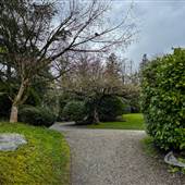 Hastings Park - Momiji Garden