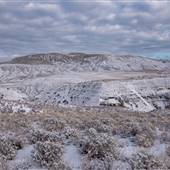 Cactus Country Farm Roads and Crop Fields WINTER