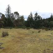 Earthspring Sanctuary Retreat Centre