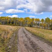Kullagh Road Grasslands - Newman Dam Valley Aspen Forest 01 FALL