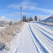 Hook Road Curve & Gully