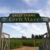 Galey Farms Corn Maze, Market & Railway