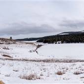 Lundbom Commonage Marquart Lake JANUARY