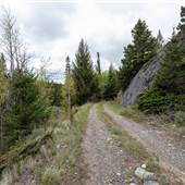 Hamilton Hill Fire Lookout - Road Top to Bottom