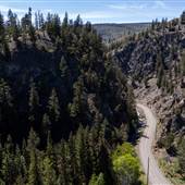 Loon Lake Road - Spring