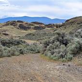DIVIDEND MINE ACCESS PARK