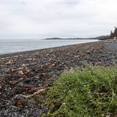 Devonian Regional Park