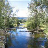 DLR Nicola River through Q Homestead Crop Fields