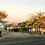 SUMMERLAND FALL