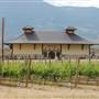Le VIEUX PIN WINERY