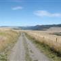 *Jackson Road Grasslands