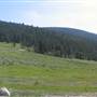 Scheidam Flats Range Land - South Side