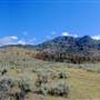 Dewdrop Protected Park Desert and Dry Lakebed