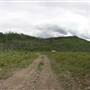 Fishtrap Creek Horse Camp