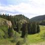 Lars Meadow