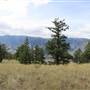 Crows Bar Road & Mid View of Fraser River Canyon