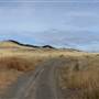 Scheidam Flats - Strawberry Mountain Road and Grasslands (north side)