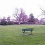 Chapman Park