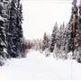 Chuwhels Lake Rd & Frozen Lake WINTER