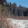 Little Dixon Lake WINTER