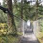 Haslam Creek Suspension Bridge
