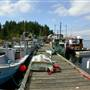 Whaletown Dock