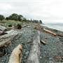 Willow Point Beach