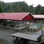 Gwa'ni (Nimpkish) Hatchery