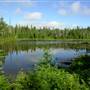 Scout Lake