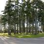 Coronation Crescent Park