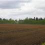 Beck's Dairy Farm