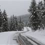 BEAR LAKE ROADS ( Winter )