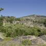 PENTICTON WILTSE PROPERTY