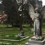 Ross Bay Cemetery